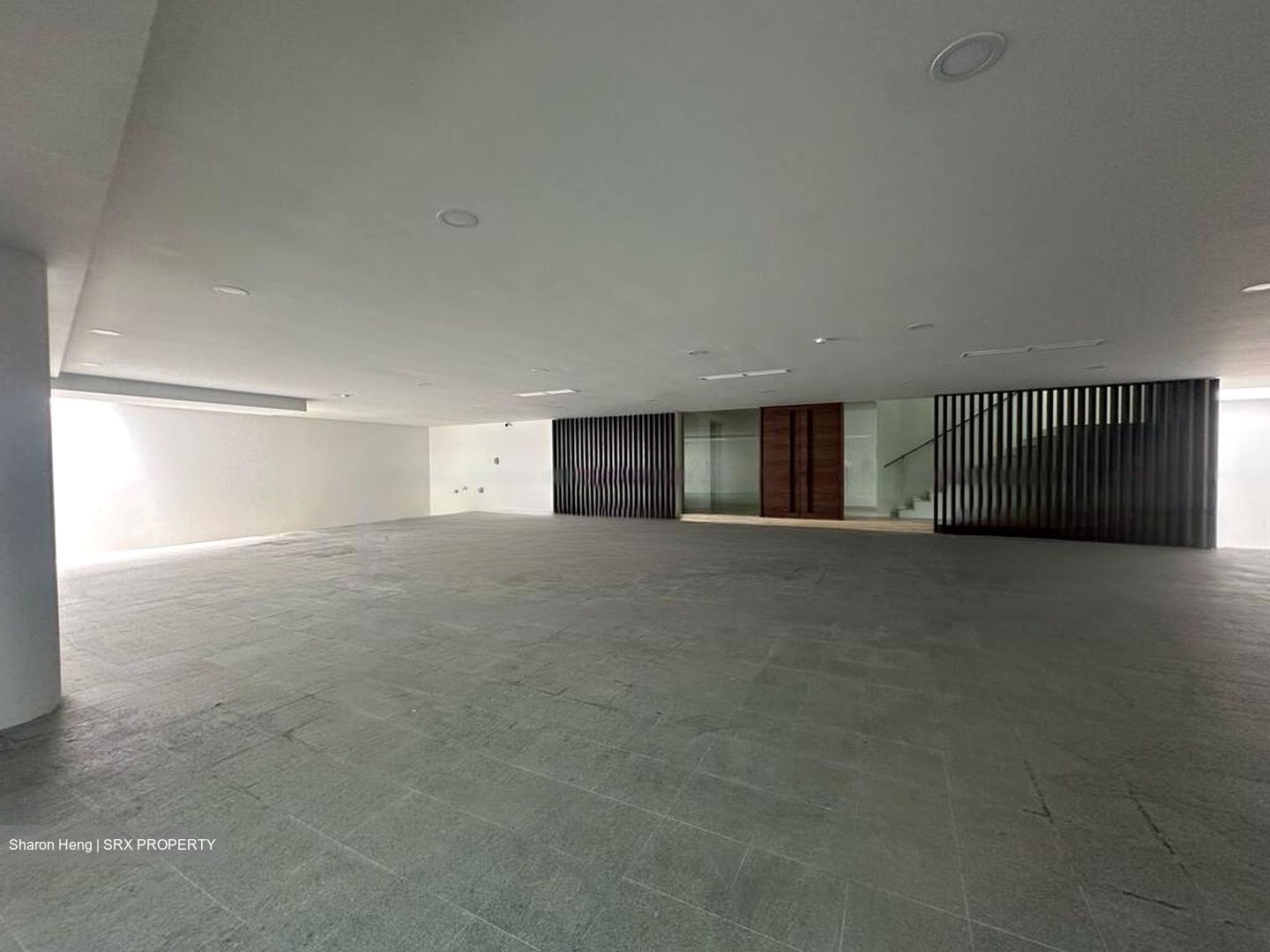 Chancery Lane (D11), Detached #461228891